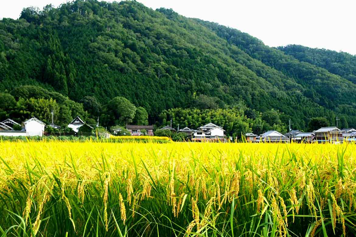 小規模分散型ホテル 篠山城下町ホテル NIPPONIA、丹波篠山の自然が満喫できる1泊2日のお出かけドライブコース初登場！