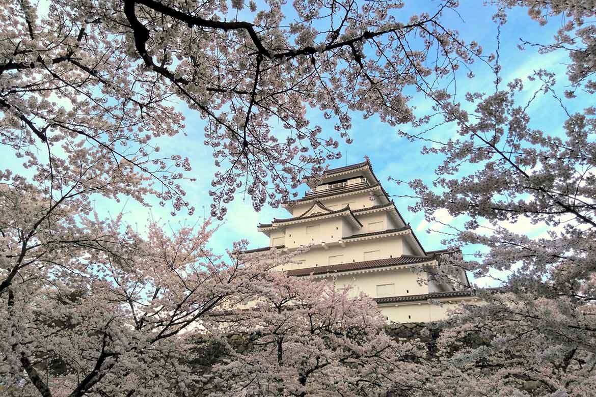 満開のソメイヨシノが赤瓦の天守閣を彩る「鶴ヶ城」【会津若松市】