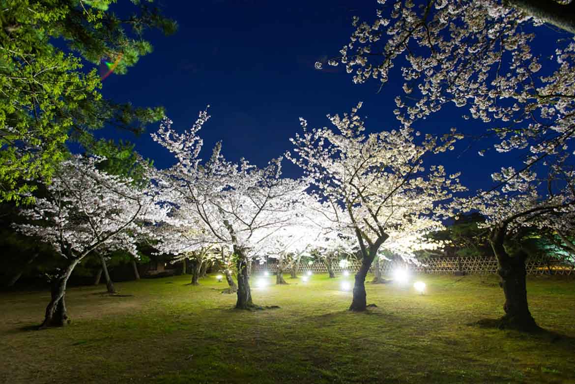 香川県「特別名勝 栗林公園 春のライトアップ」3/26〜4/4開催！