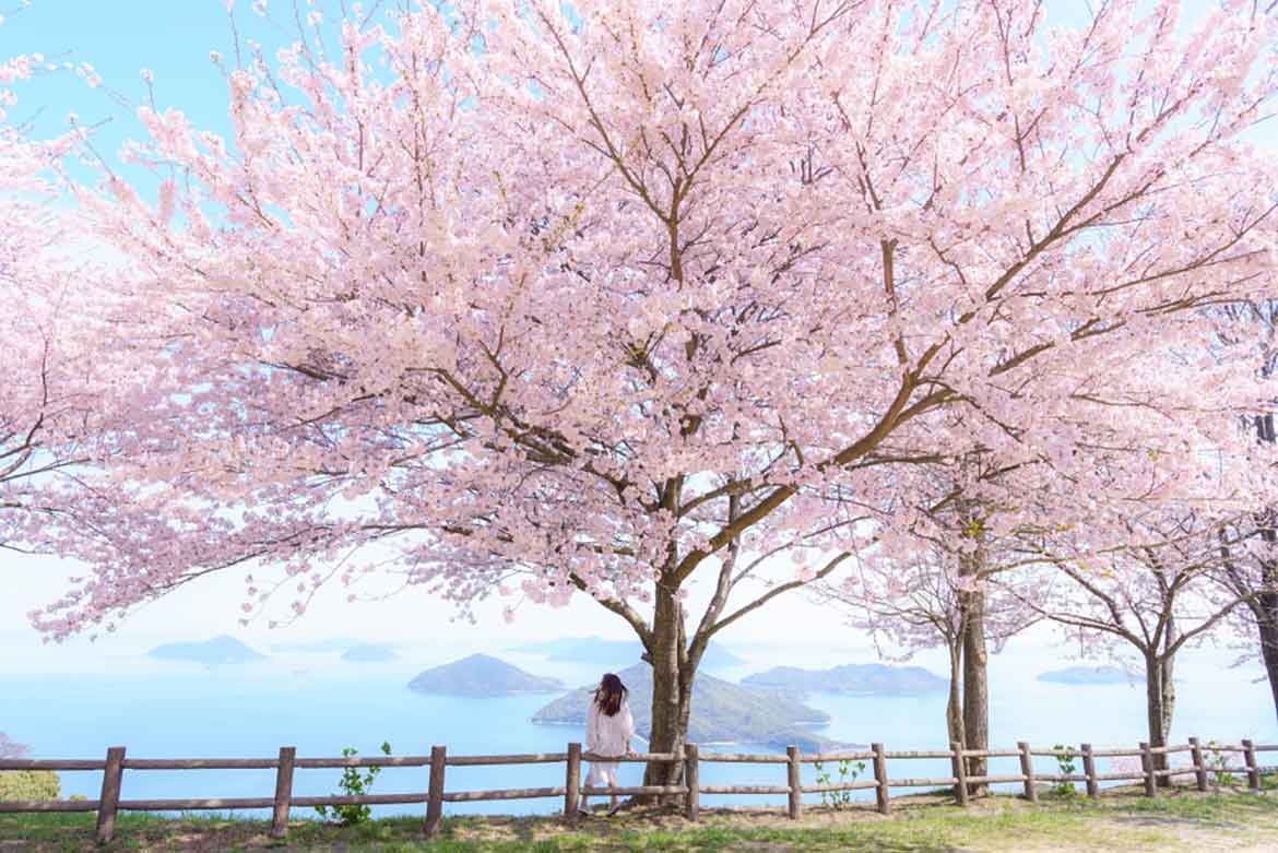 ロケーション抜群、 香川県の絶景 “桜・お花見” スポット！