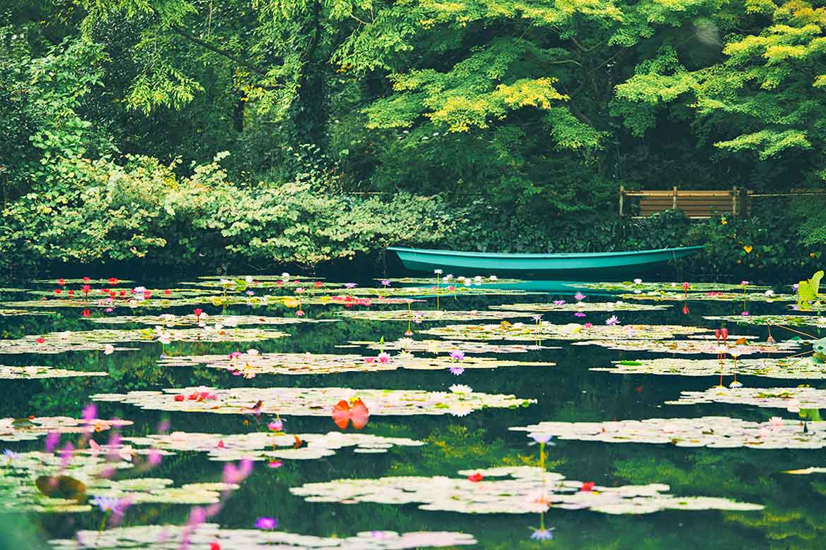 世界で唯一「クロード・モネ」の庭を再現している高知県北川村。「モネの庭」マルモッタンの開園20周年記念開催