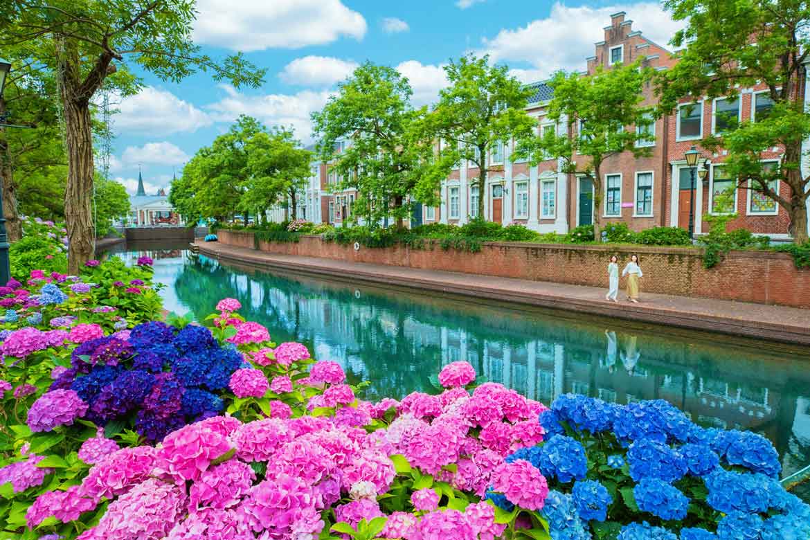 日本最多1,250品種がヨーロッパの街並みを彩る『あじさい祭』、ハウステンボスにて開催