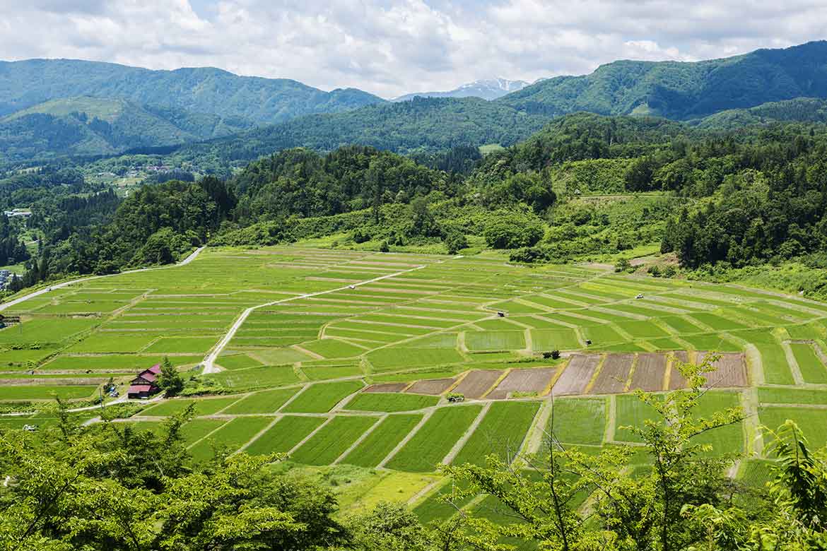 誇るべき日本の原風景「椹平の棚田」