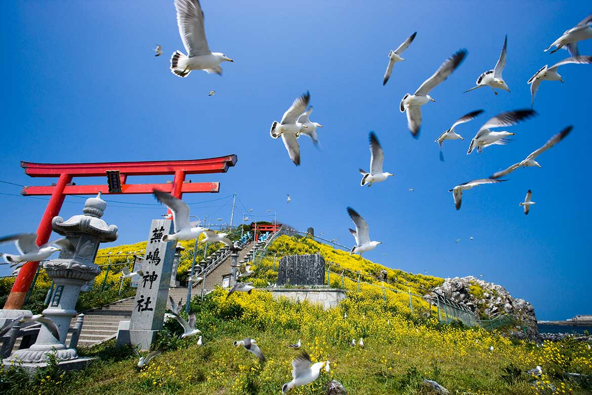 眠ら（せ）ない街・八戸。北三陸の魅力をフルスロットルで味わい尽くす！