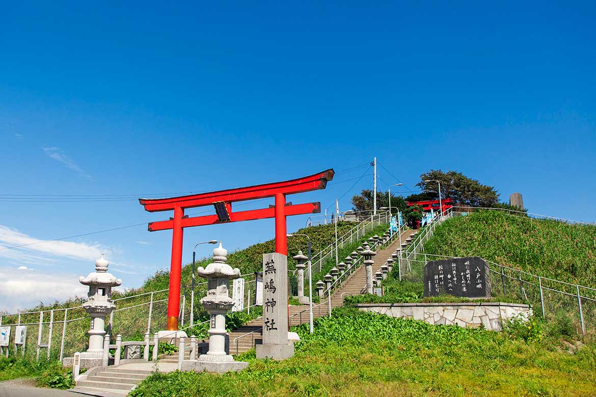 ウミネコの子育てを間近で観察できる〝祈りの島〟。新名所もオープン「蕪島」