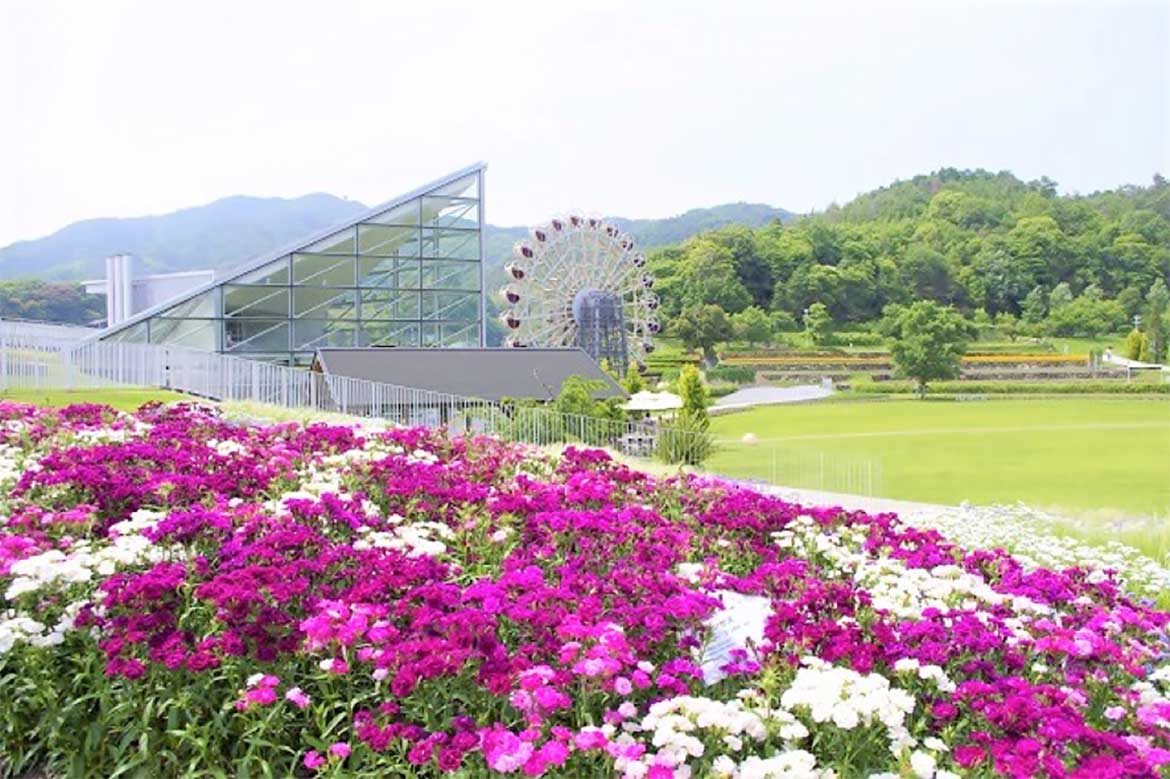 ちょっとおしゃれな花と緑の庭園「やまぐちフラワーランド」で癒しのひとときを