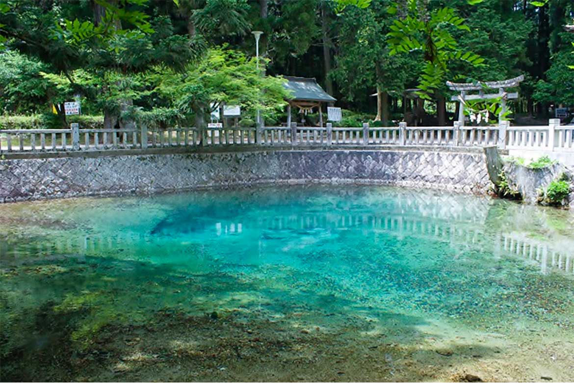 名水百選「別府弁天池」は神秘的なパワースポット！ 