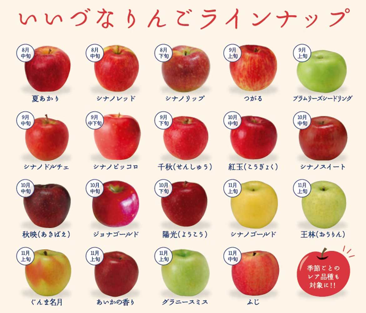 目指せ！りんご20種類コンプリート。長野県飯綱町で「りんご食べ比べスタンプラリー」9/6開催