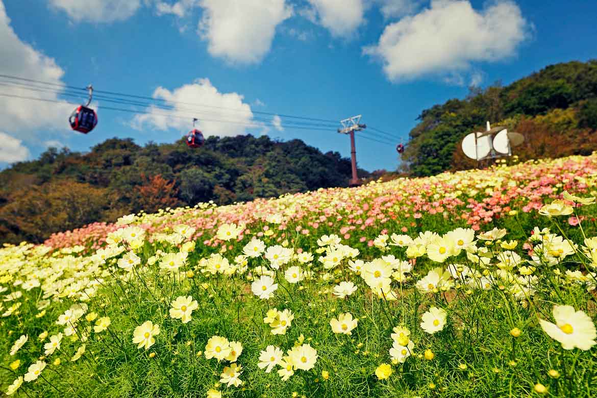 都会のリゾート「神戸布引ハーブ園」のガーデンが秋色に！澄み渡る空と秋風の中で心に残る思い出づくりを