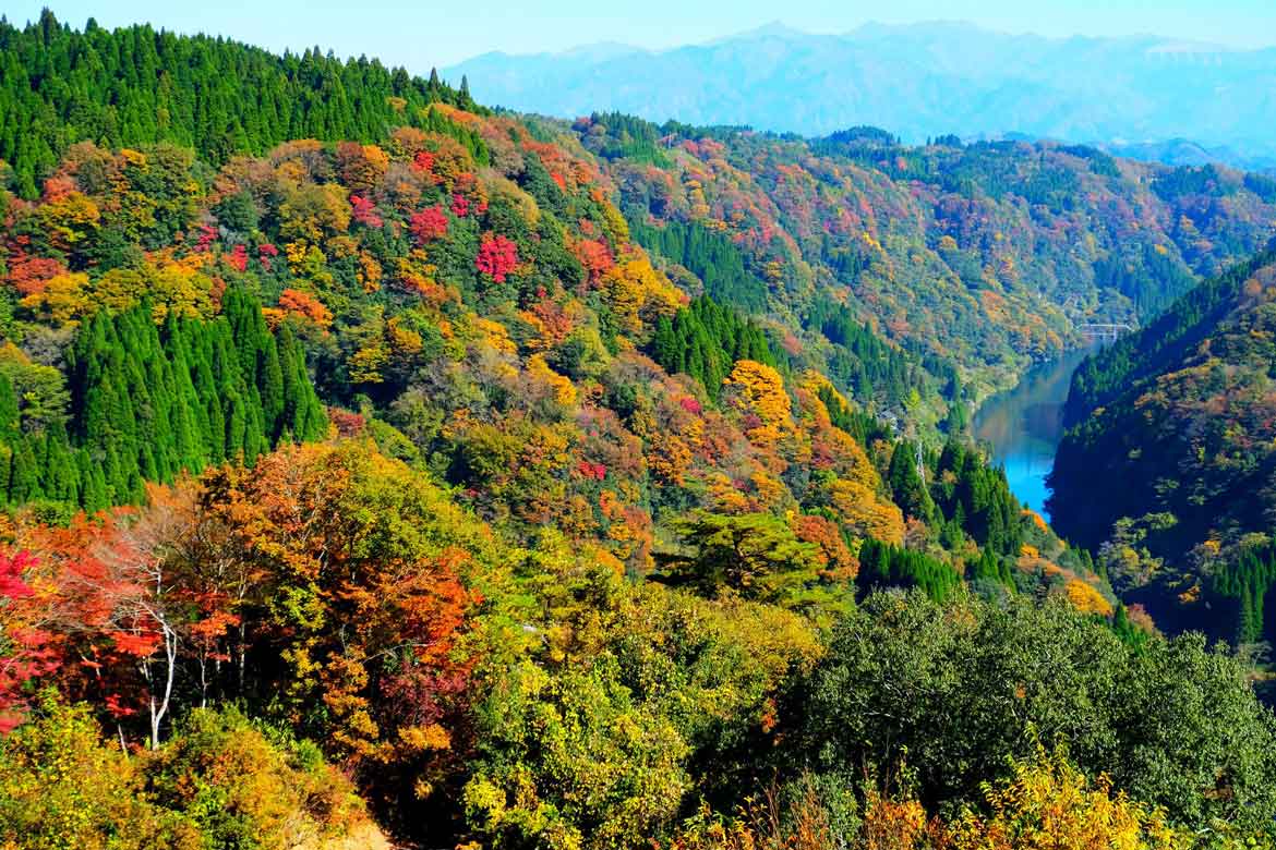渓谷の紅葉や美しい干潟まで、秋の熊本をドライブで満喫しよう！
