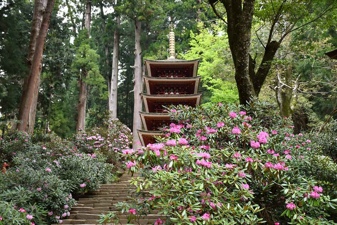 室生山の新鮮な空気で体中が満たされる「室生寺」