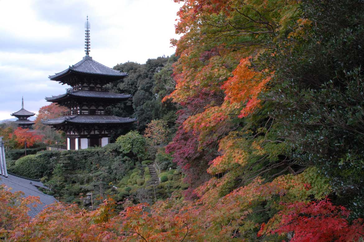 「知れば知るほど奈良はおもしろい」キャンペーン〜いつもとは違う奈良を楽しもう！「知る人ぞ知る秋の観光スポット」〜