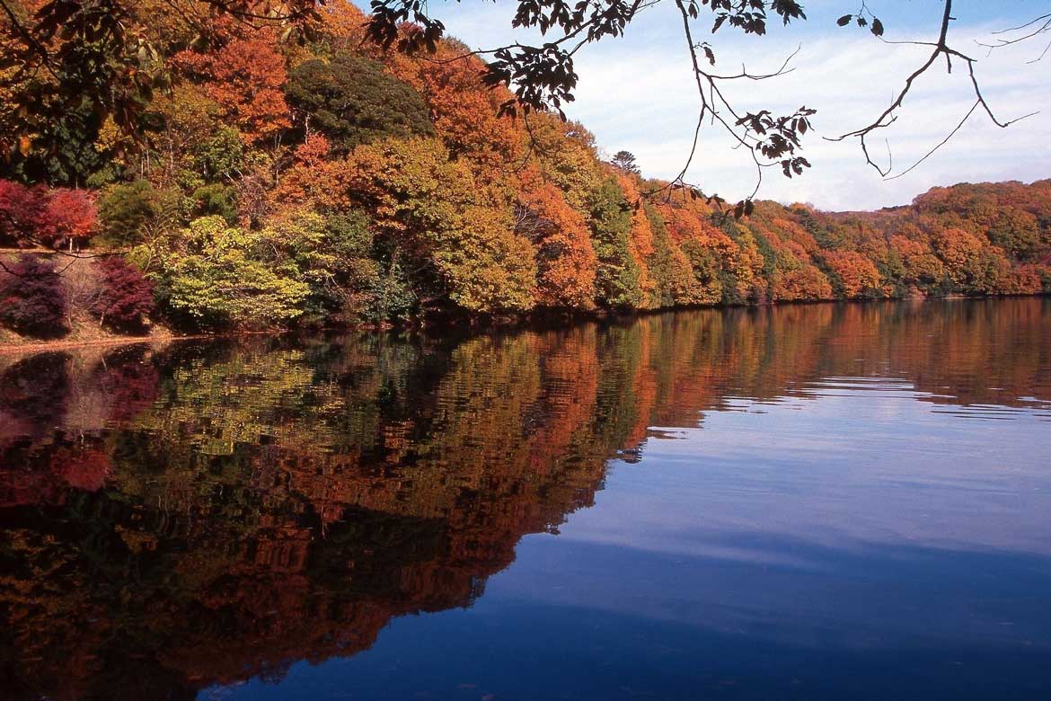 紅葉シーズン到来！静岡・伊東市の「一碧湖」＆「丸山公園」で 11月下旬～12月上旬に紅葉が見頃