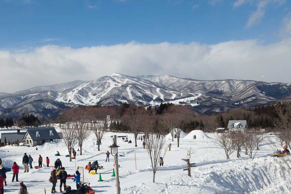 冬の大自然を満喫！岐阜県郡上市「ひるがの高原・高鷲」ドライブ