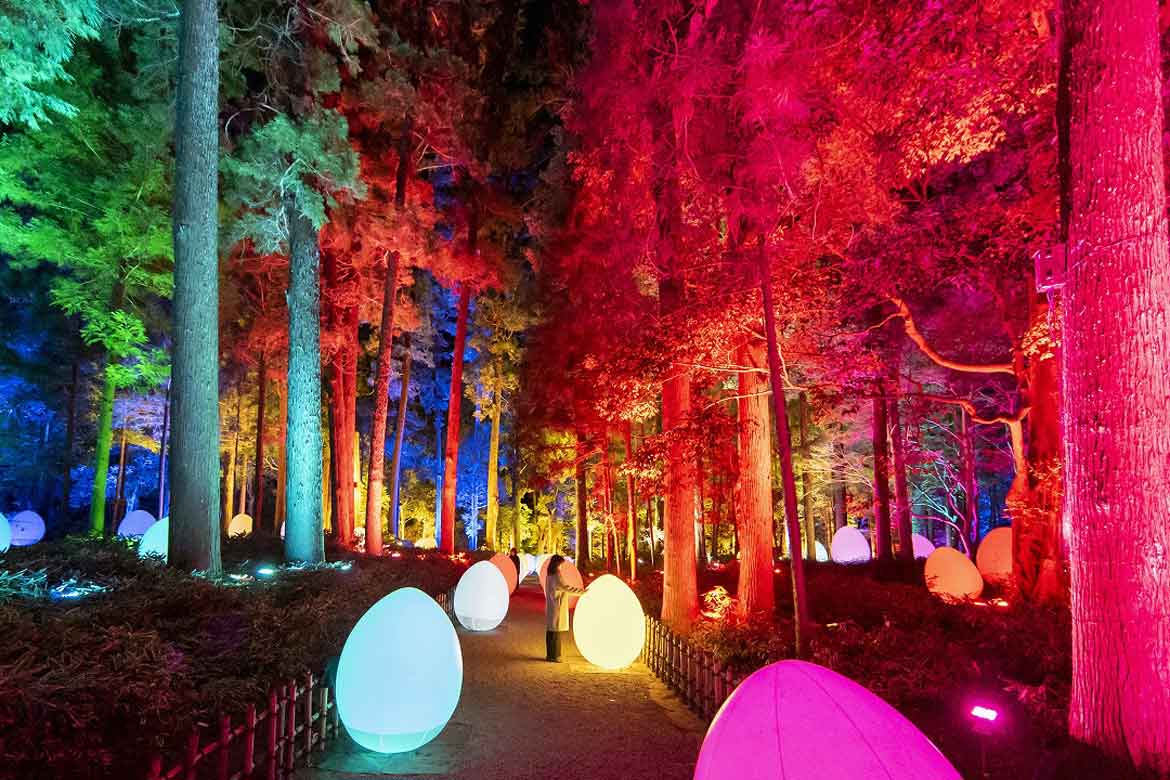 「チームラボ 偕楽園 光の祭」（茨城・水戸）、2022年も開催。開園180年の春の偕楽園をインタラクティブなアート空間に