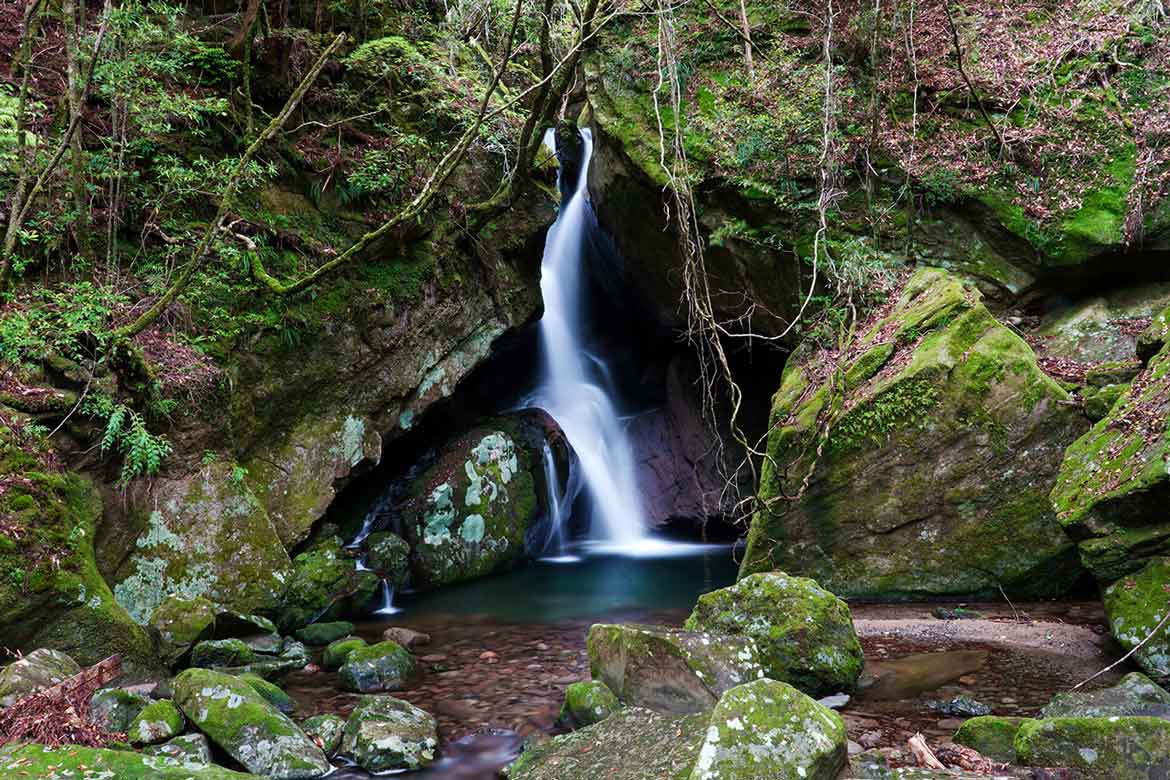 世界遺産や温泉を満喫！和歌山・田辺市で自然と歴史を巡る旅に出よう