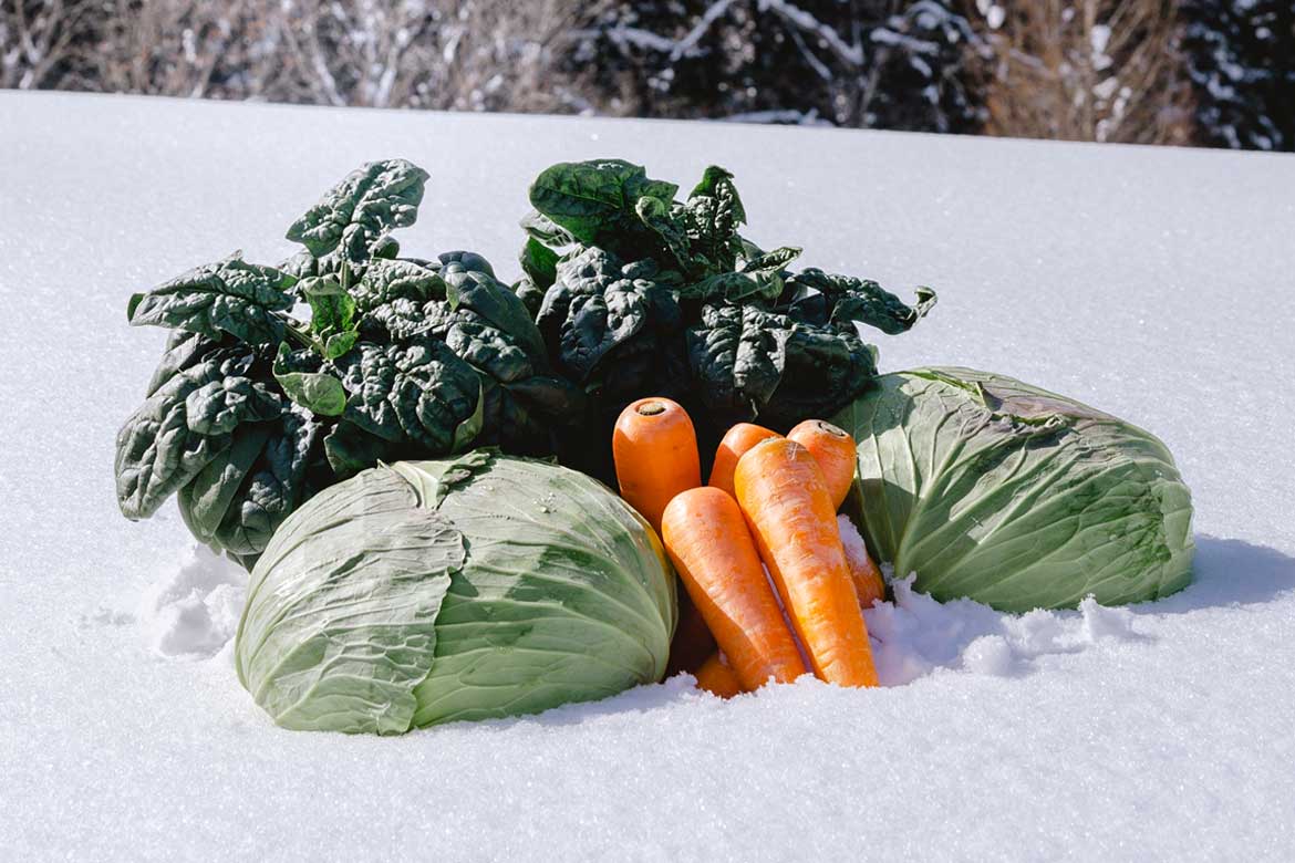 恵まれた風土と豪雪が生み出す、信濃町の新しいブランド『信州 信濃町 雪まち野菜』誕生