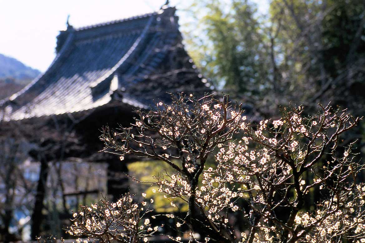 伊豆・修善寺温泉を散策！源氏ゆかりの地を満喫しよう