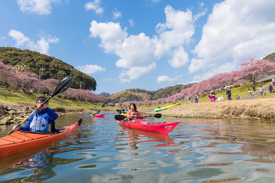 約800本の河津桜を川面から見上げるときめき体験。休暇村南伊豆「みなみのさくらカヤックツアー」