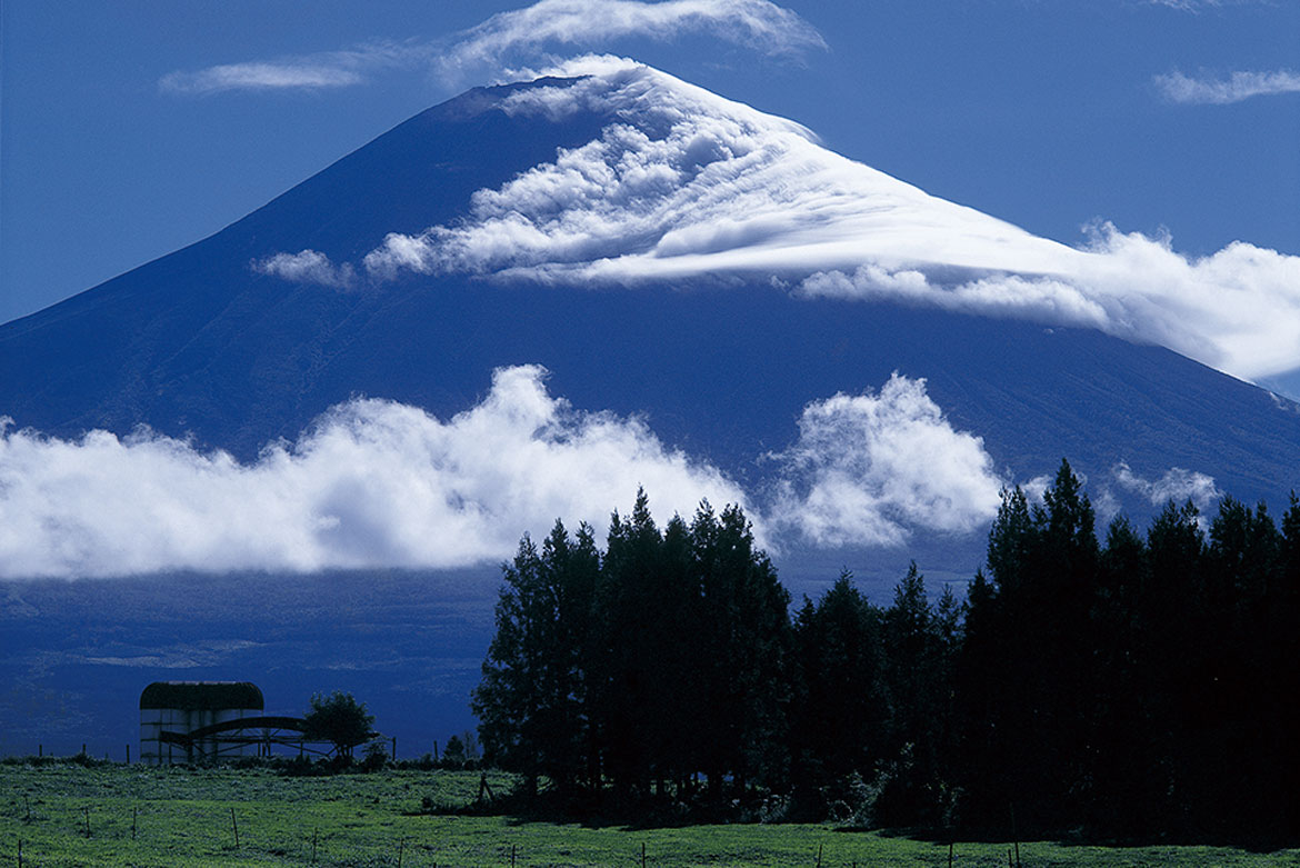 富士山のおひざもと。圧巻の自然美に触れる「朝霧高原」【富士エリア（富士宮市）】