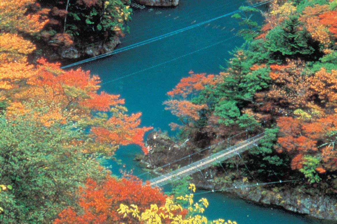 エメラルドグリーンの湖面に感動「寸又峡 夢のつり橋」【中部エリア（川根本町）】