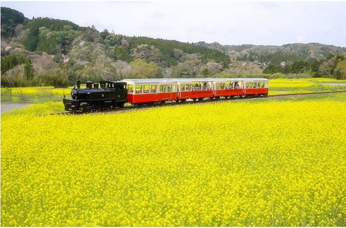 房総里山トロッコ列車2022年運行が開始！千葉の豊かな里山の魅力を満喫