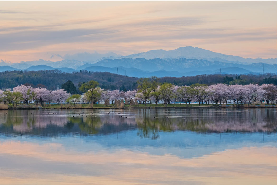 自然豊かな加賀の國が誇るおすすめお花見スポット！桜の名所と併せて楽しめる立ち寄りスポットも