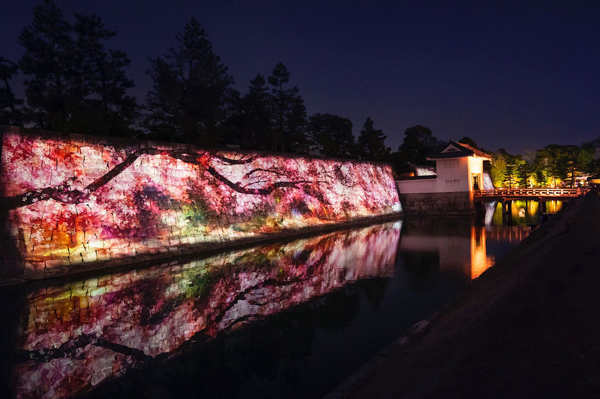 花のアートが二条城に咲く『NAKED FLOWERS 2022 -桜- 世界遺産・二条城』、約300本の夜桜と満開ピークに