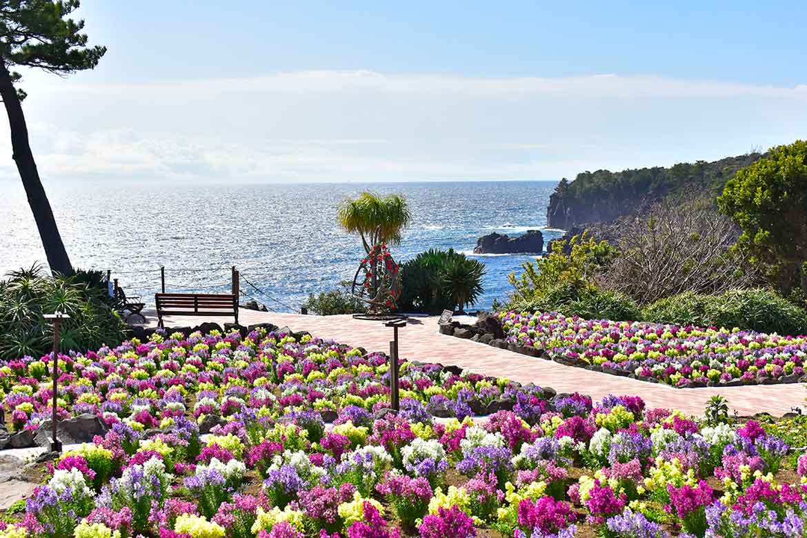 伊豆・城ヶ崎海岸の絶景ミュージアム「ニューヨークランプミュージアム&フラワーガーデン」に春到来