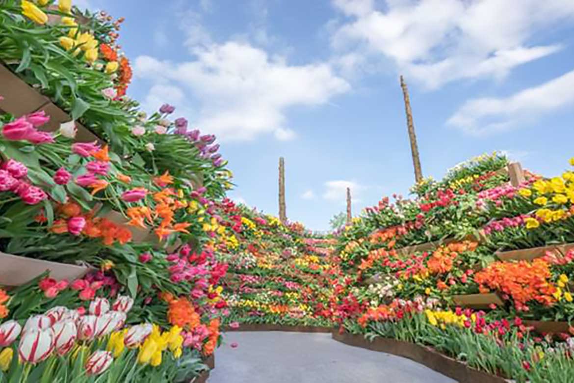 日本最大級の花の祭典「2022となみチューリップフェア」4/22（金）から富山県砺波市で開催