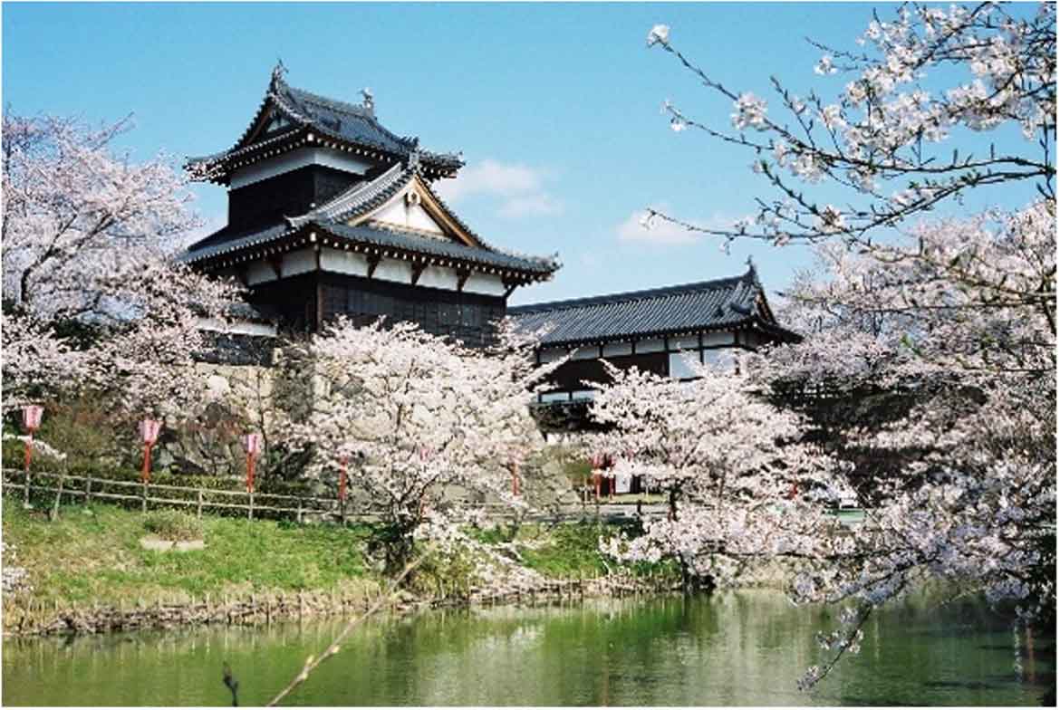 「知れば知るほど奈良はおもしろい」キャンペーン！「春の奈良はイベント盛りだくさん」春爛漫の奈良を感じよう