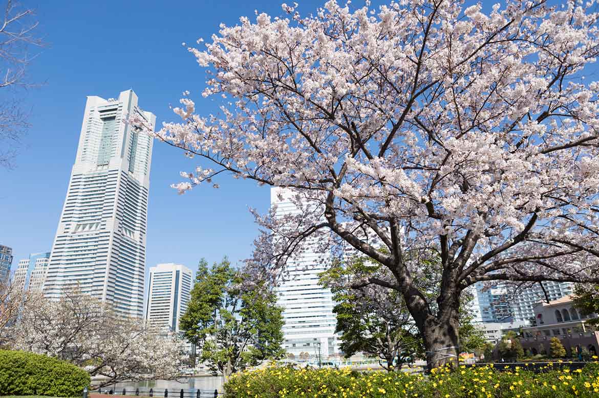 60万本の花々が横浜を彩るフラワーリレーイベント「ガーデンネックレス横浜2022」3/26から開幕