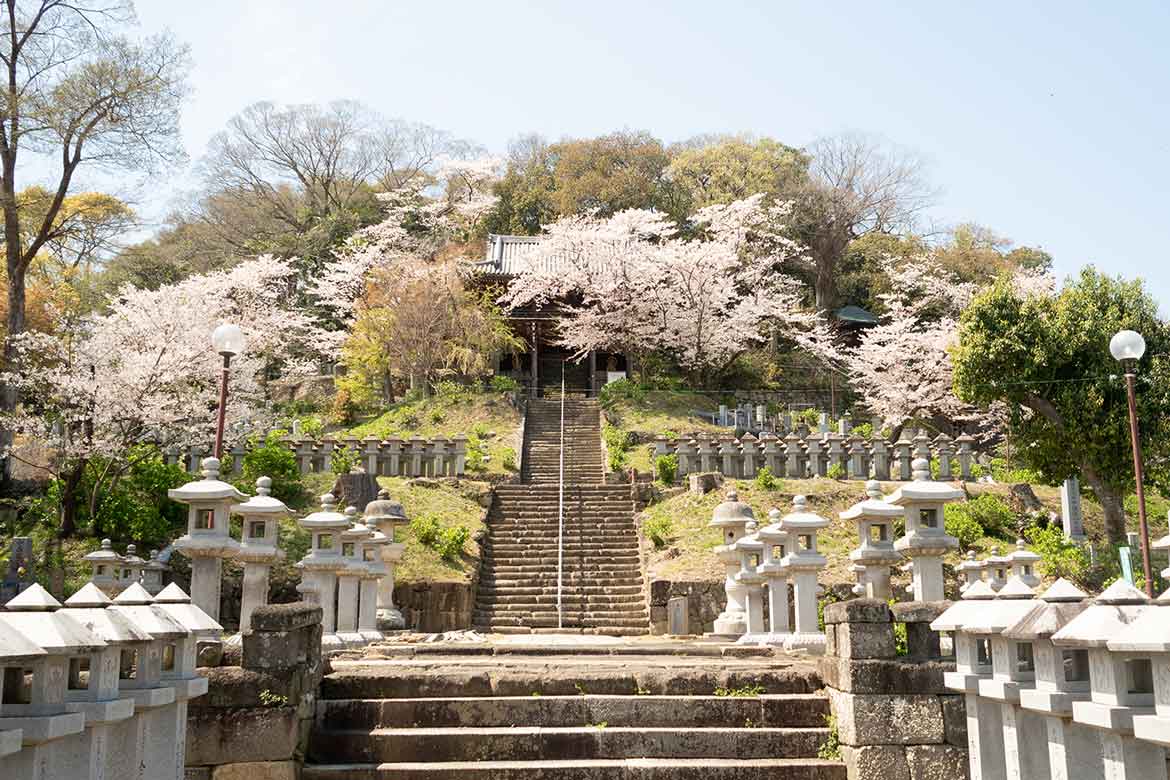 極楽浄土を体感できる!?伽藍配置の「法然寺」