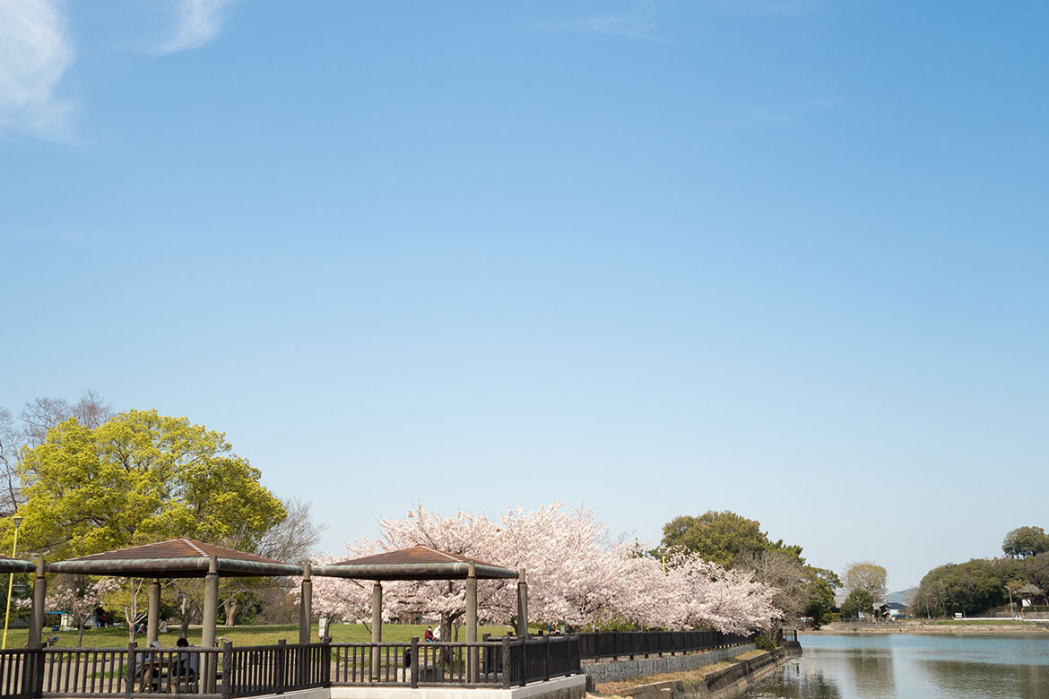 のんびり過ごしたい「仏生山公園」