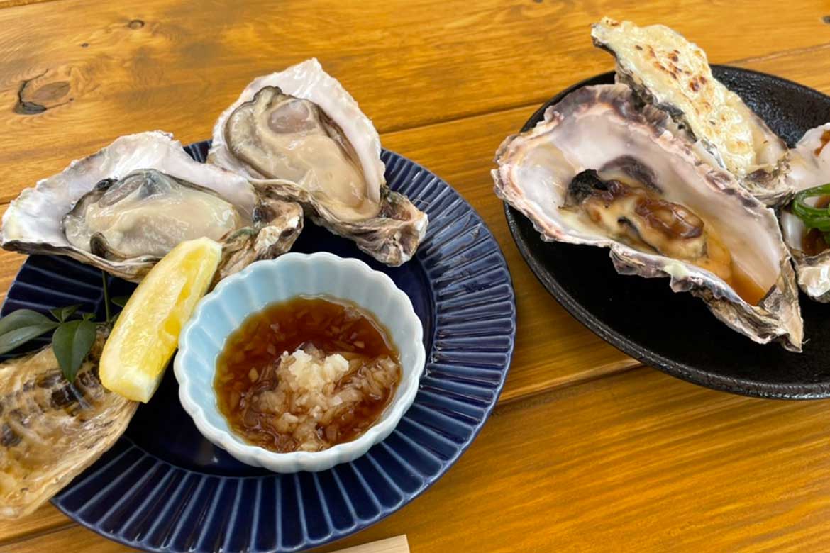 三重県志摩市、的矢湾の牡蠣を食べられる 牡蠣専門のお食事処「的矢かきテラス」