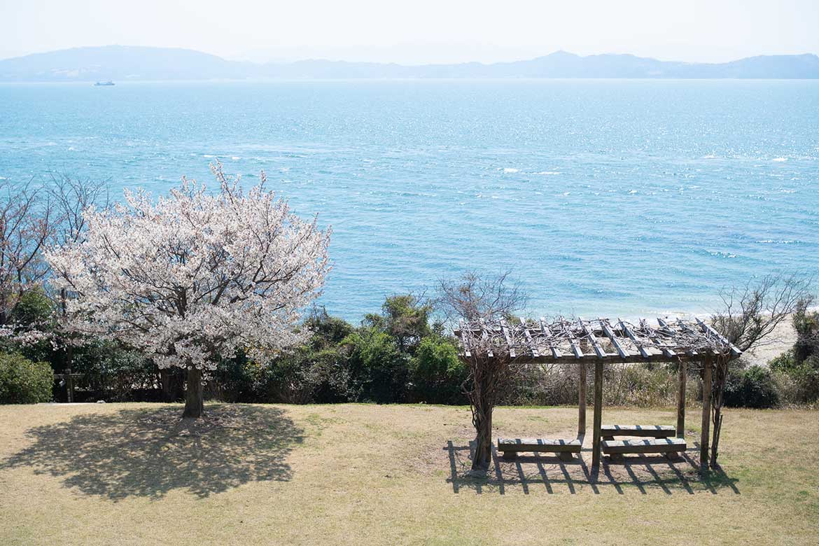 海沿いドライブを楽しみ、「釈迦ヶ鼻園地」へ