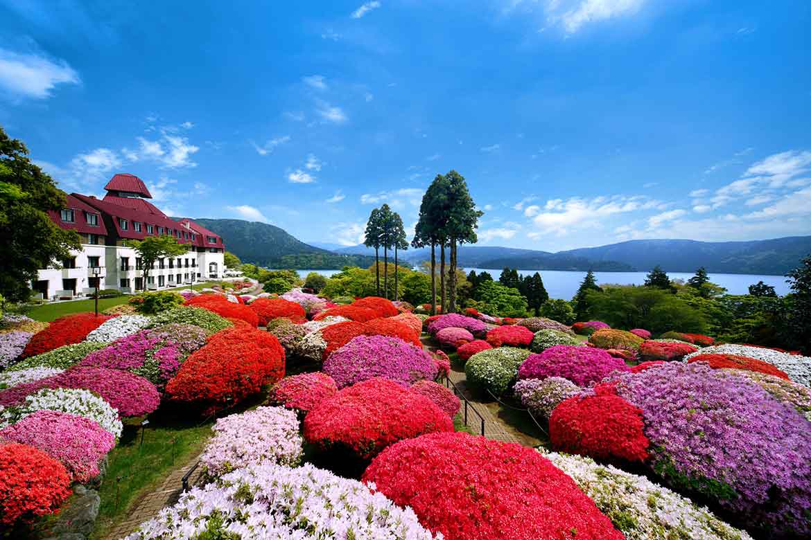 箱根・山のホテルのツツジが「日本植物園協会ナショナルコレクション」に認定！「つつじ・しゃくなげフェア 2022」開催