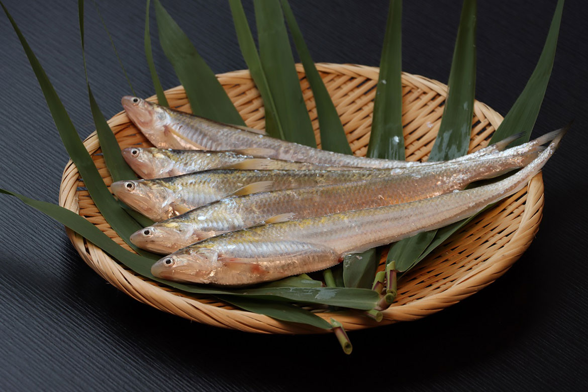 福岡県大川市、筑後川の風物詩・えつ漁 解禁！「えつ御膳」が当たるキャンペーンも実施