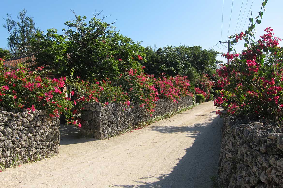 沖縄の原風景を味わう旅。小さな離島「竹富島」を巡るおとなの休日