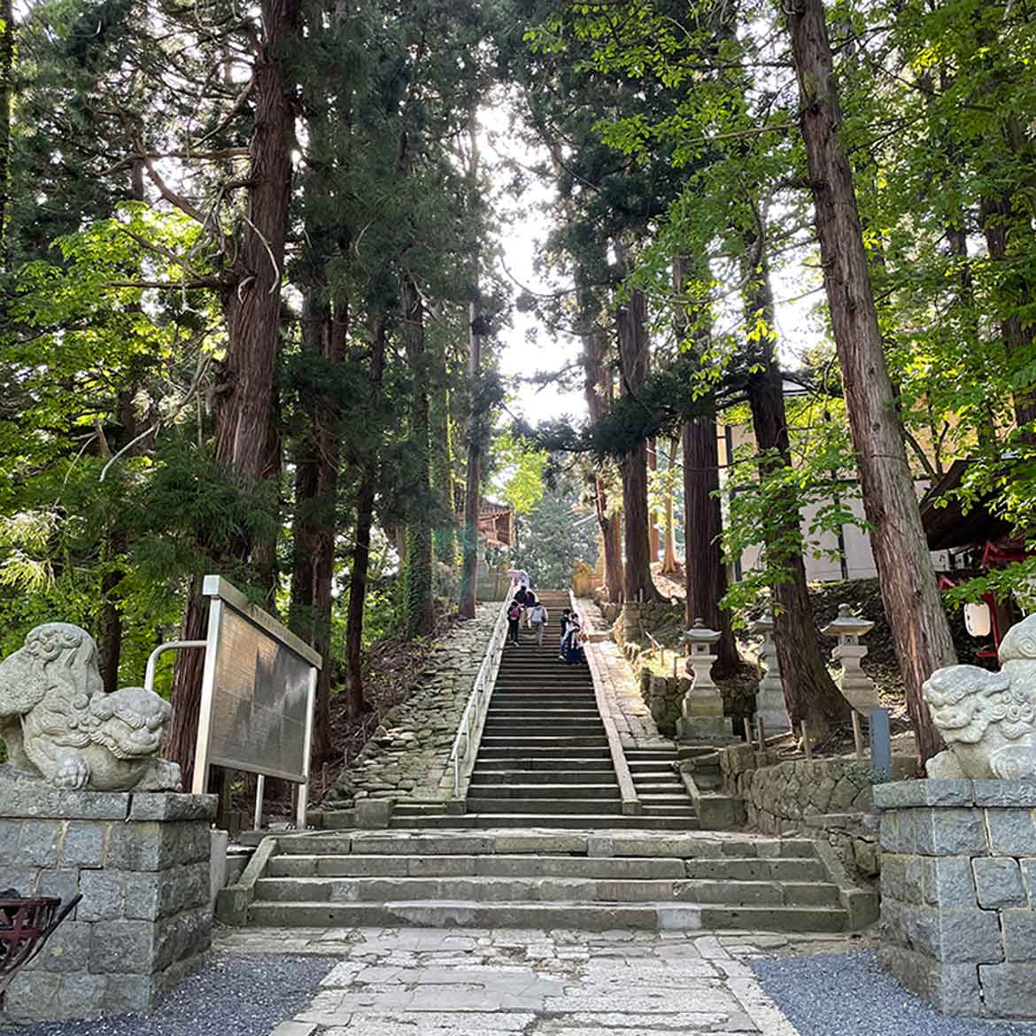 日本で初めてプロポーズで結ばれた神様がいる「熊野大社」