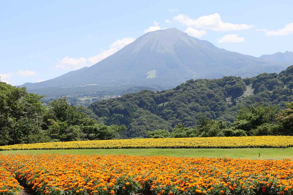 四季折々の花々に癒される、日本最大級のフラワーパーク「とっとり花回廊」（鳥取県）