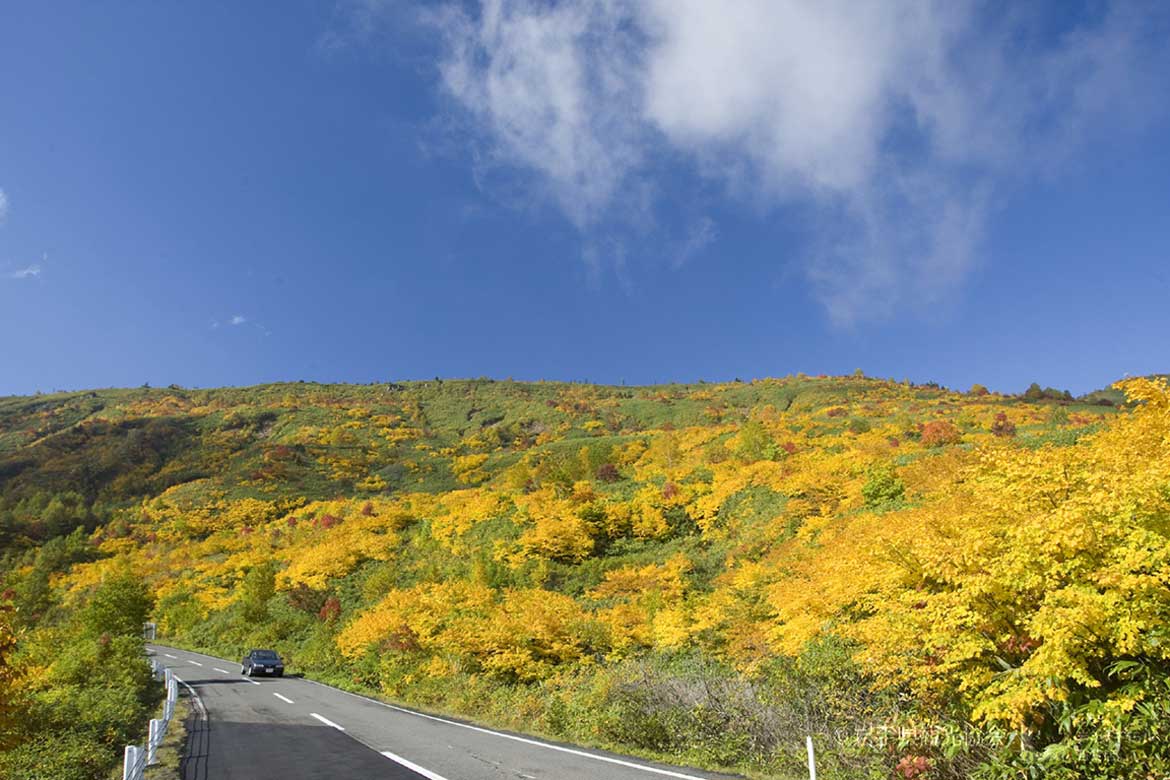 岩手県の紅葉を楽しむならここ！絶景スポット5選