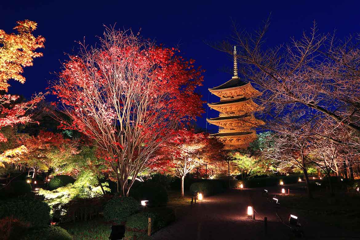 色彩豊かに紅葉する京の秋の魅力「そうだ 京都、行こう。」2022年秋キャンペーン10/1から開催