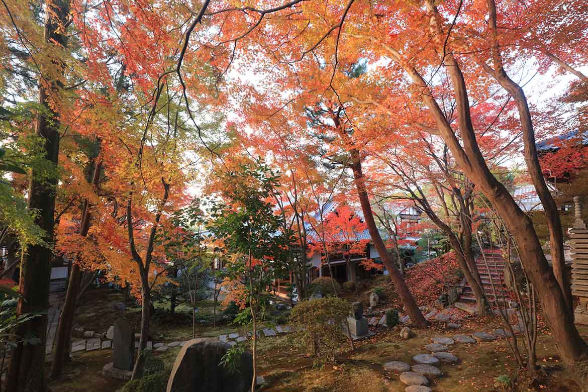 通常非公開！京都・東福寺の塔頭「正覚庵」にて秋の特別拝観11/25～12/11開催