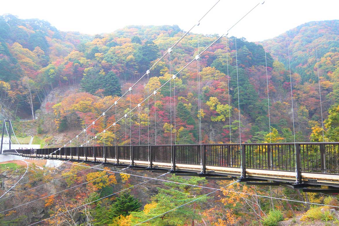 秋の絶景巡り！栃木・日光、那須エリアで贅沢に秋を満喫する週末旅へ