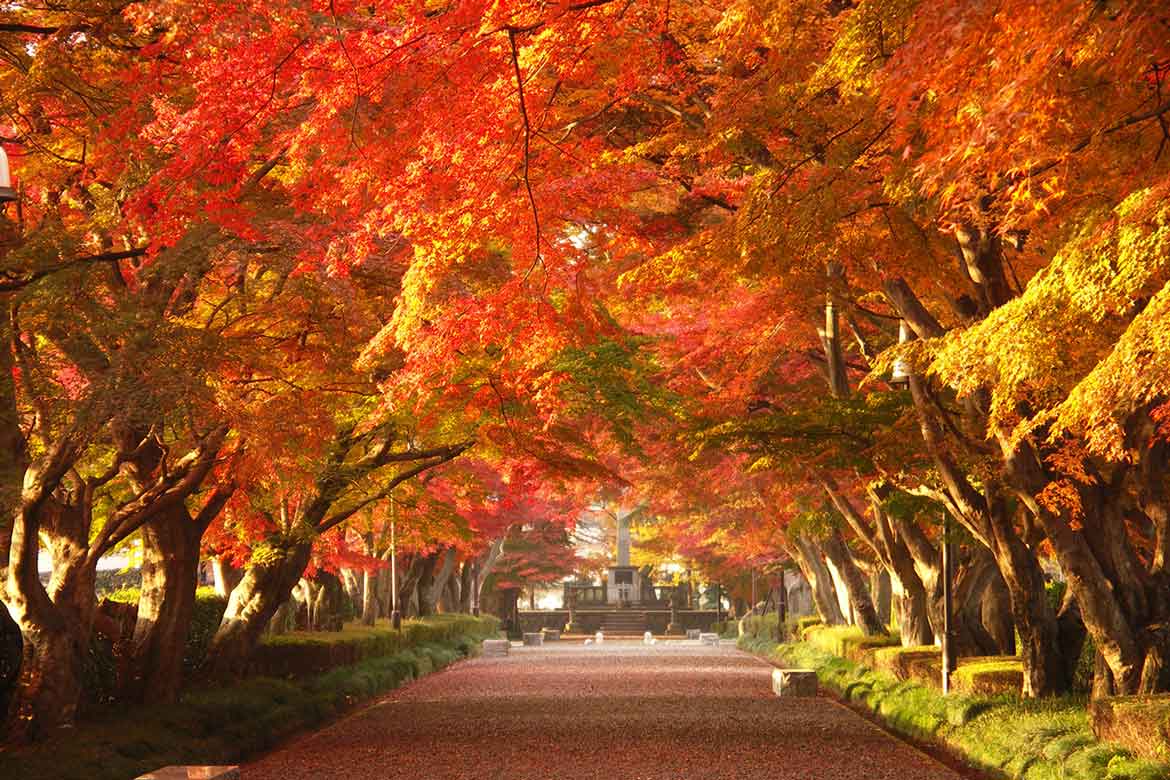 色鮮やかな高原の紅葉を楽しむ「那須」