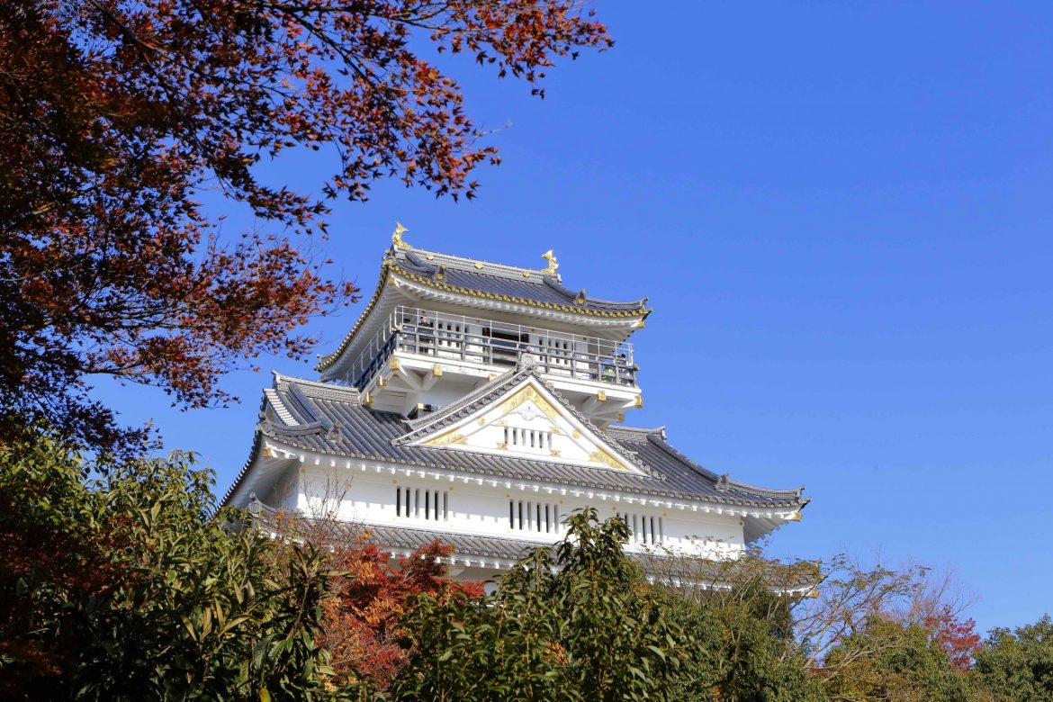 岐阜城とのコントラストが美しい「岐阜城パノラマ夜景」
