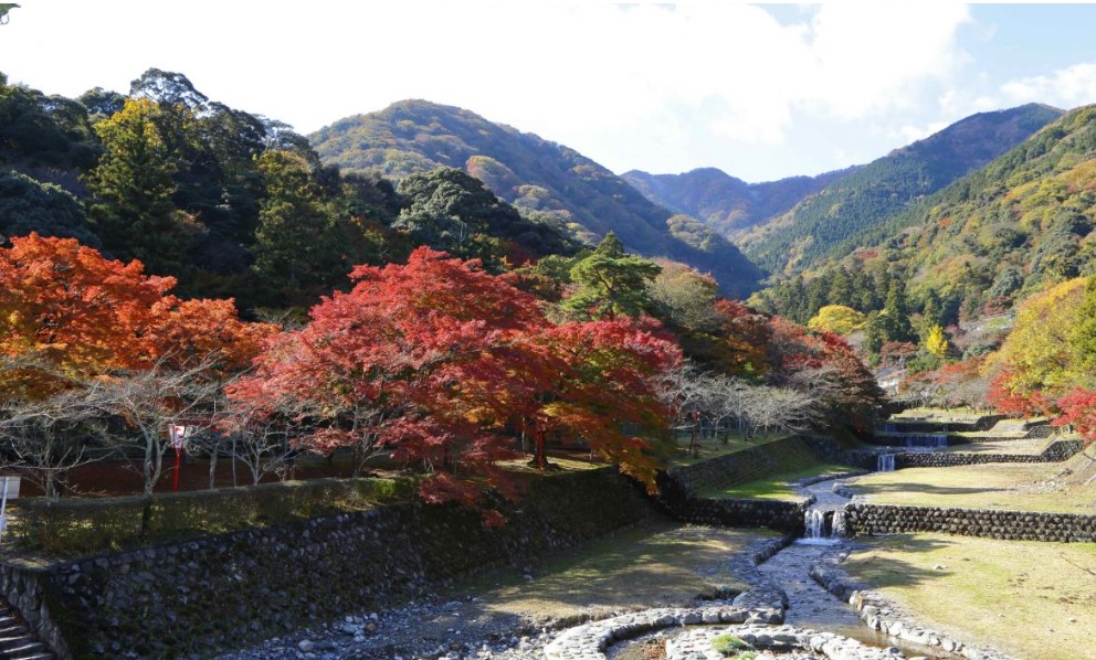 カエデのトンネルを散策できる「養老公園もみじまつり」