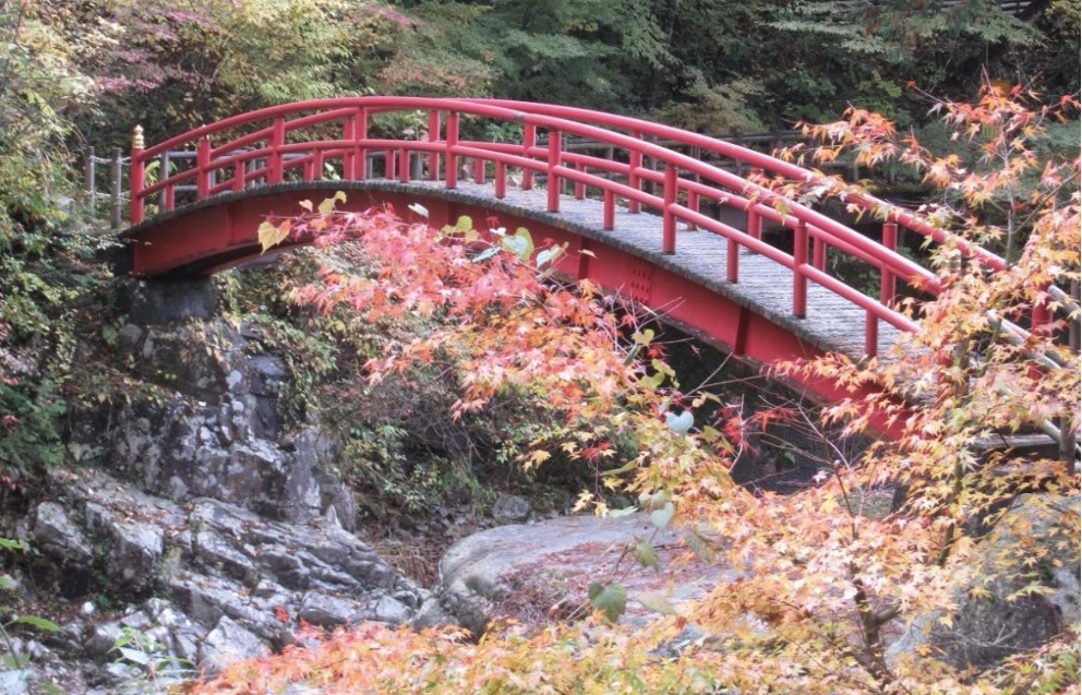 もみじ橋や滝が美しい「夕森もみじまつり」