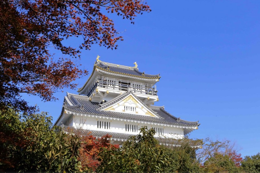 岐阜城とのコントラストが美しい「岐阜城パノラマ夜景」